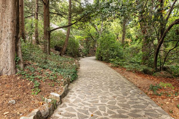 Stone Walkway Repair in Marietta