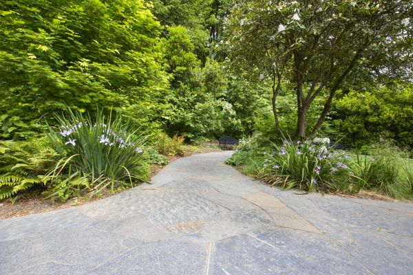 Stone Hardscape Service in Marietta