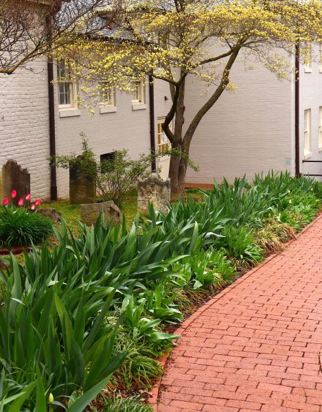 Brick Flatwork Repair in Marietta
